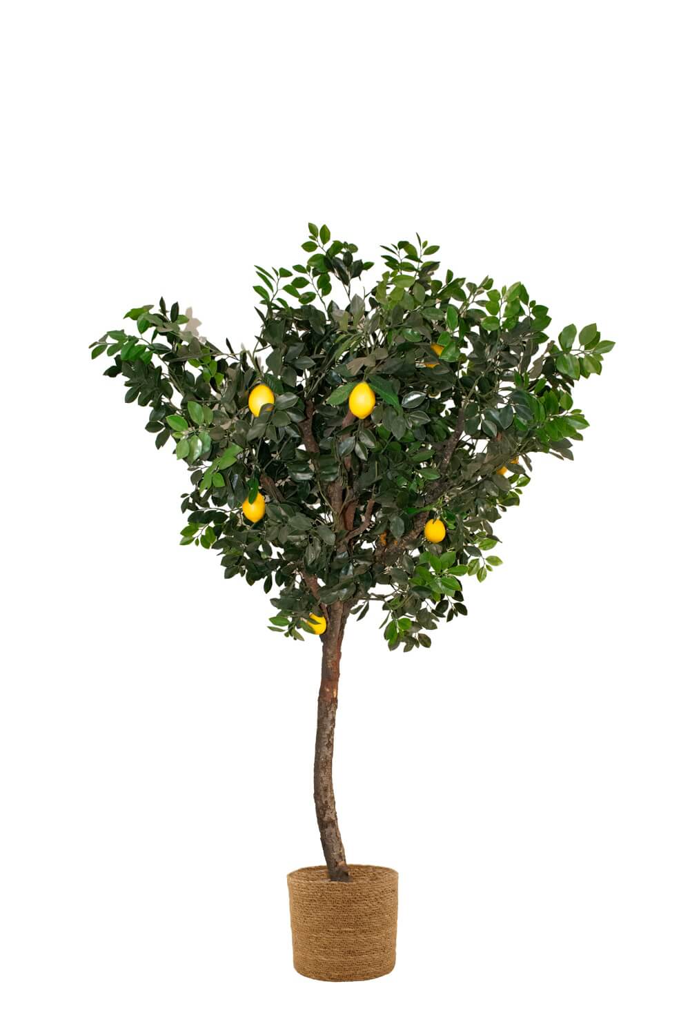 Árbol artificial Interior - ARBOLEUM