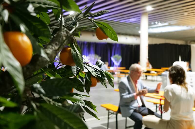 Proyectos profesionales - ARBOLEUM