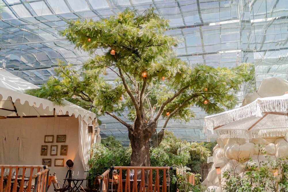 ÁRBOLES A MEDIDA - ARBOLEUM