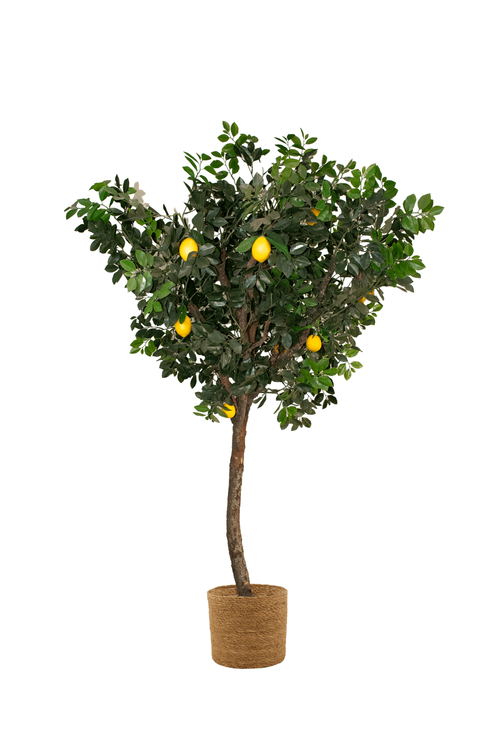 Árbol artificial Exterior - ARBOLEUM