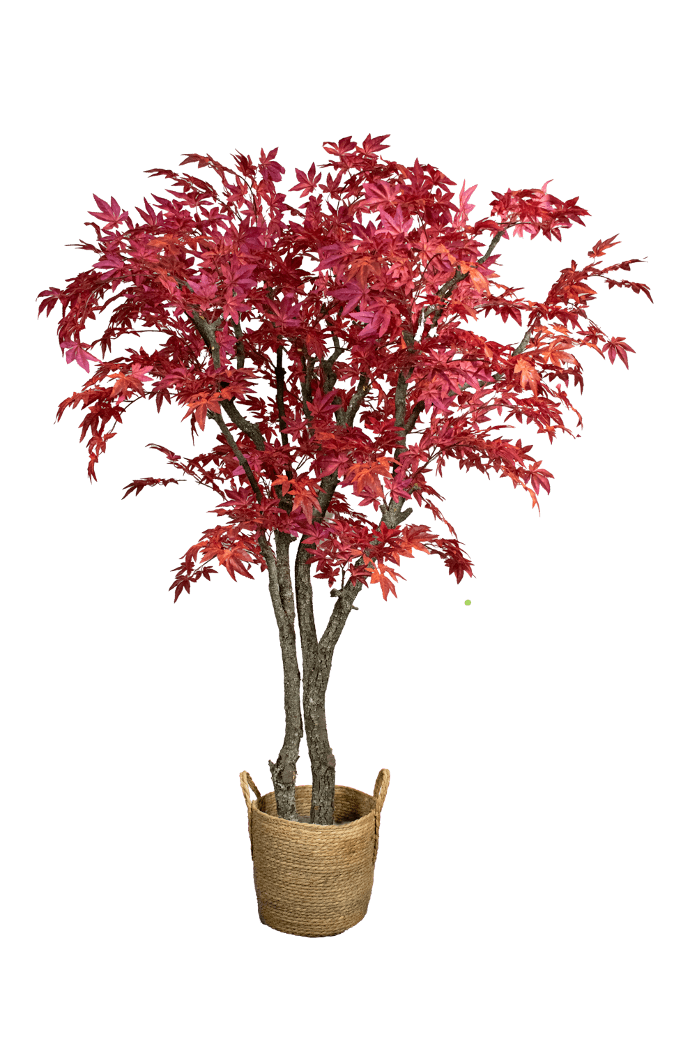 Árbol artificial FR - ARBOLEUM