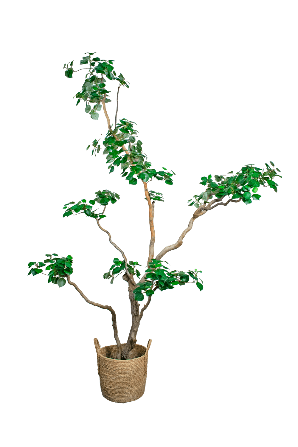 Árbol artificial Interior - ARBOLEUM