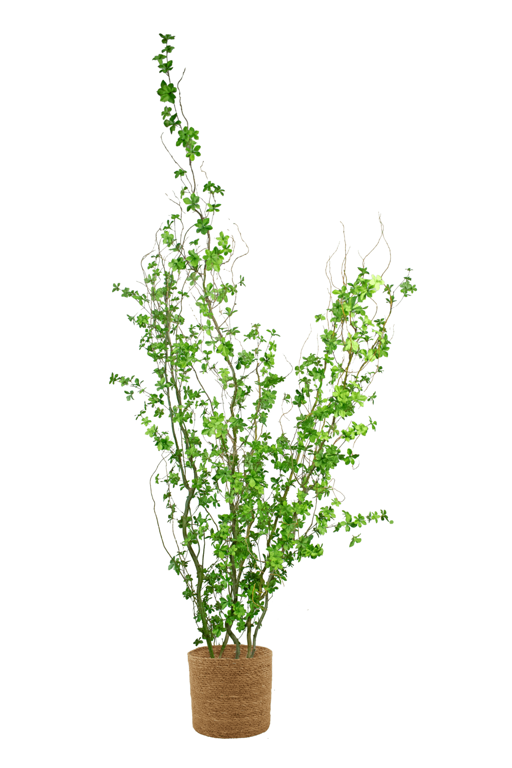 Árbol artificial FR - ARBOLEUM