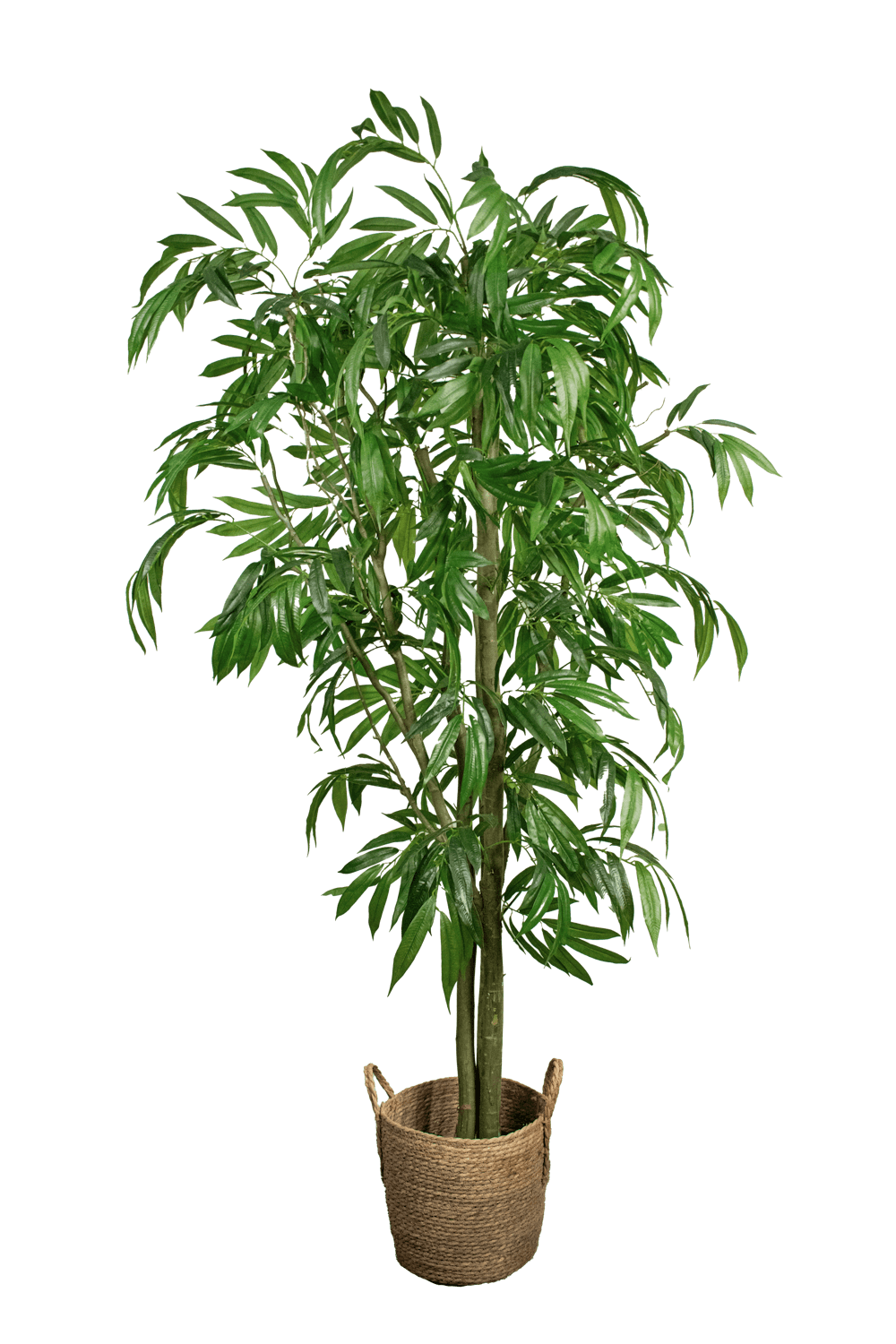 Árbol artificial Interior - ARBOLEUM